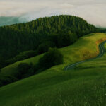 Min. de la transition écologique