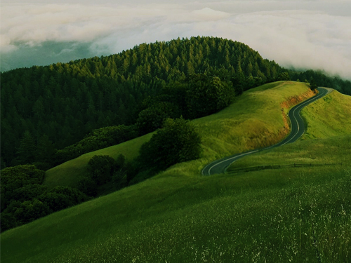 Min. de la transition écologique