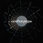 Ornithorynque