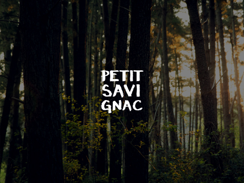 Petit Savignac