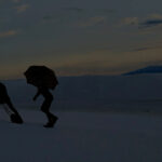 Louis Vuitton · Campus